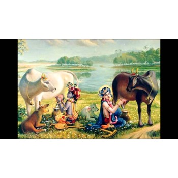 Krishna and Balaram fills the pot with cow milk